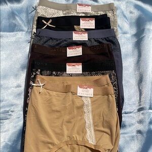 Cacique Women's Panty Collection - Neutral Tones 18/20 new